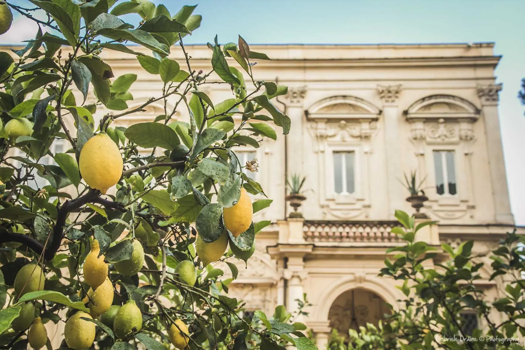 Limoni in primo piano davanti alla facciata di una villa storica
